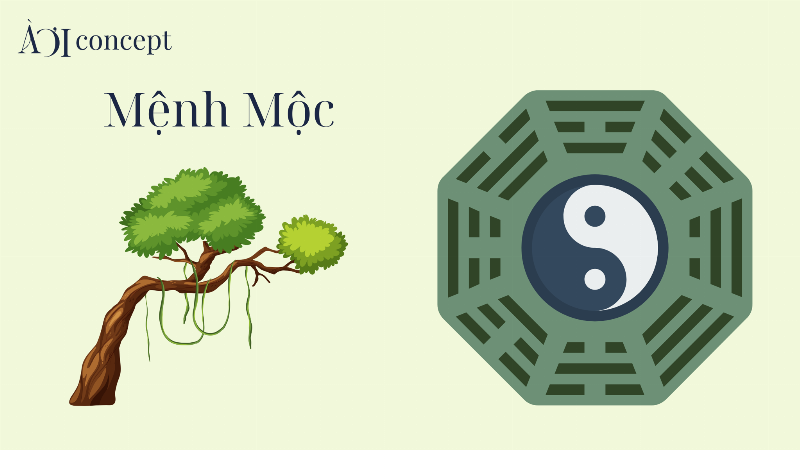 Các loại đá phong thủy màu xanh lá cây hợp mệnh Mộc mang lại may mắn.